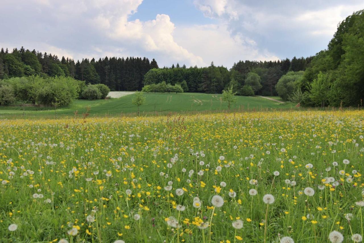 Heumanns Blockhaeuser Am Wald Hotel Pottenstein Kültér fotó